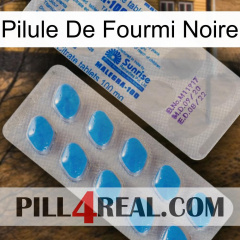 Black Ant Pill new15